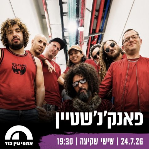פאנק'נ'שטיין